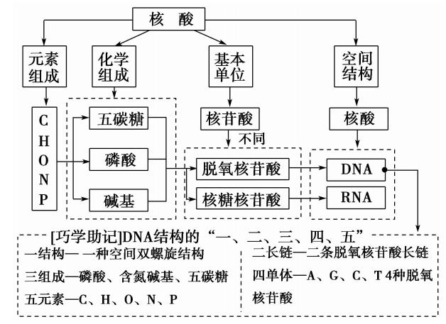 抑制乙肝病毒，大三阳转小三阳，保健品可否取代抗病毒？