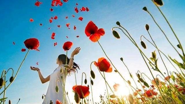 心理学知识的五十条常识，教你读懂人性