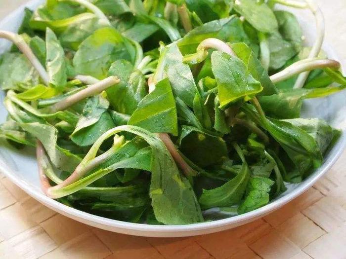 在苏州人春天的餐桌上，这野菜是最清新的味道，你吃过吗？