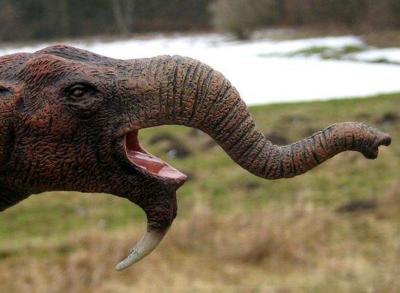 大象的牙也会跑偏？远古象类牙齿五花八门，看起来怪怪的