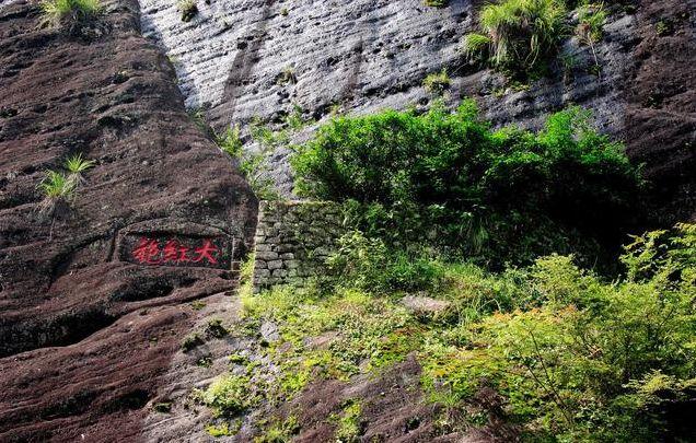 中国十大名贵茶叶：第一名最贵平均一克两万，这喝的还是茶吗？​