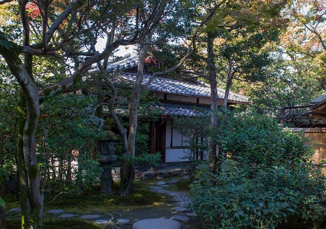 日本最古老的禅寺，安静雅致景色美，距今已有800年