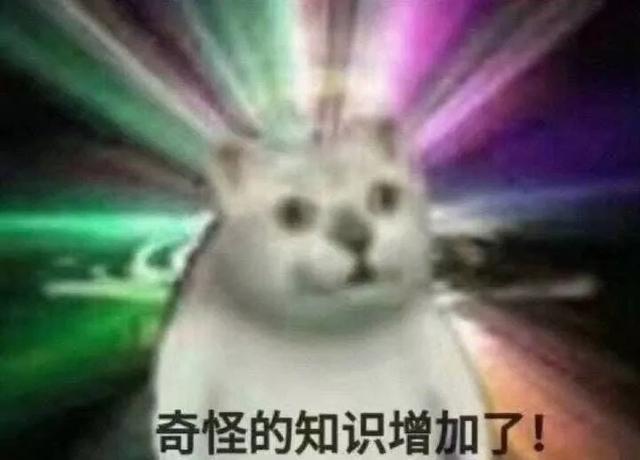 吃豆人撞到鬼的前一秒，在想什么？