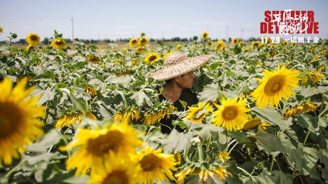 《平原上的夏洛克》：人情社会真的那么糟糕吗？