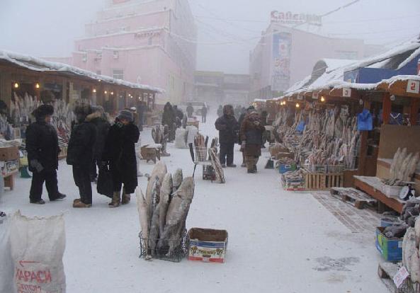 世界上最冷的城市，气温低至零下65度，菜市场只有鱼没有菜