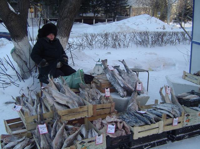 世界上最冷的城市，气温低至零下65度，菜市场只有鱼没有菜