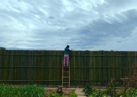 参观李子柒住的豪宅，仿佛住在世外桃源，居住环境太好了