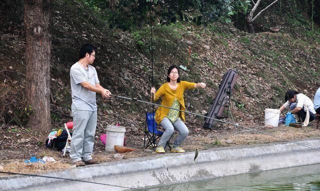 破局｜黑坑作钓鲤鱼的一把双刃剑——大胆采用新味型