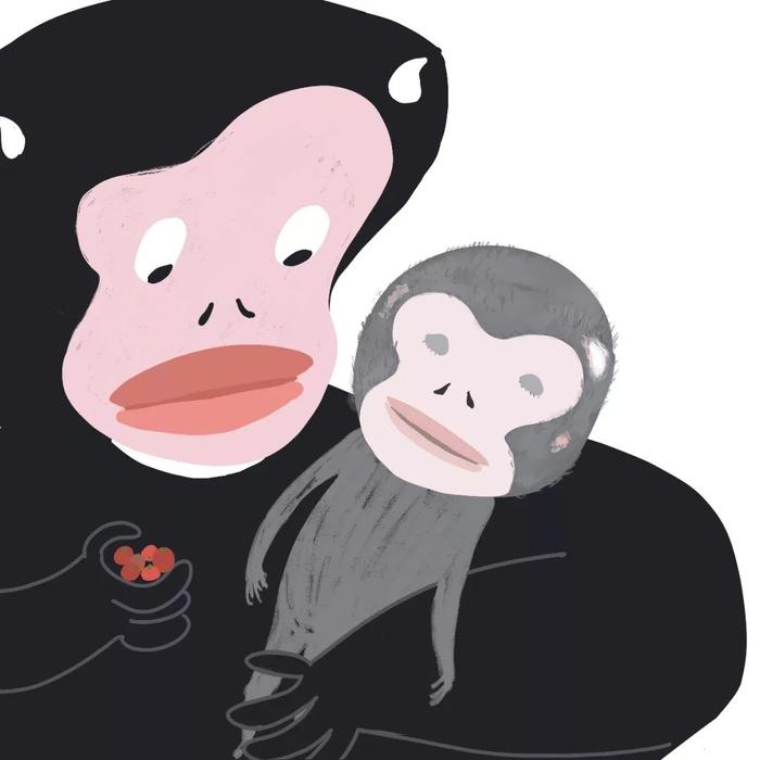 怒江金丝猴，高黎贡山里极度濒危的灵长类动物