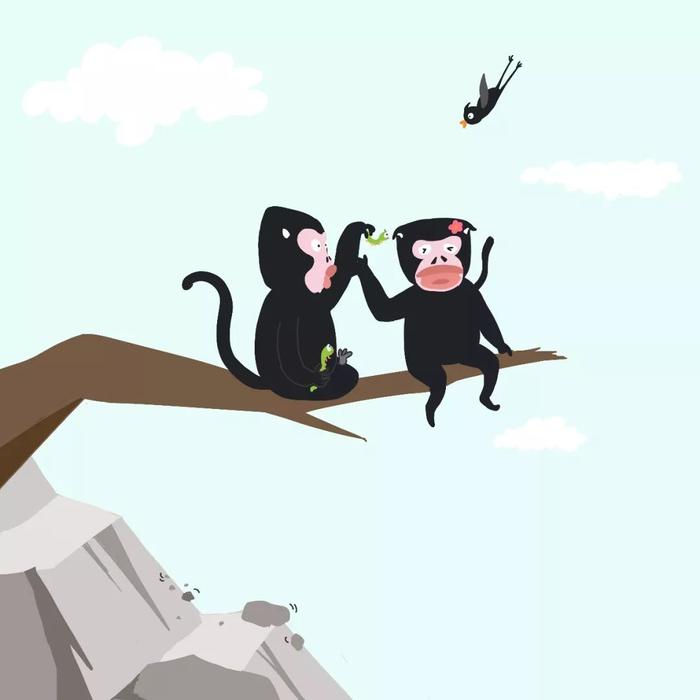 怒江金丝猴，高黎贡山里极度濒危的灵长类动物