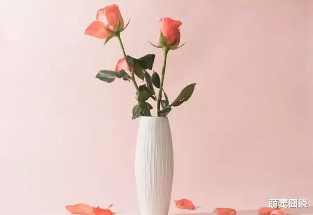 心理测试：第一眼你相中了哪个花瓶，测恋爱中你的哪种行为最欠揍