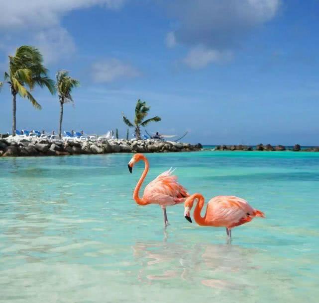 南美最适合度假的海岛：却禁止未成年人进入，物价低还对中国免签