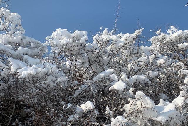 冬日的北京，下过雪，美的像雪乡一样