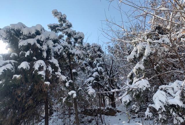 冬日的北京，下过雪，美的像雪乡一样