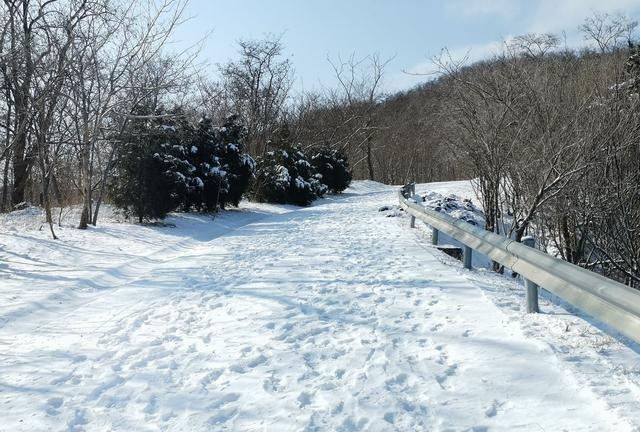 冬日的北京，下过雪，美的像雪乡一样