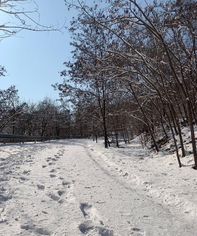 冬日的北京，下过雪，美的像雪乡一样