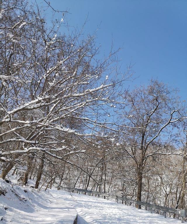 冬日的北京，下过雪，美的像雪乡一样