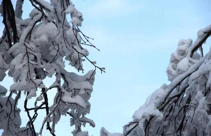 峨眉山雪后美景，简直就是人间仙境！