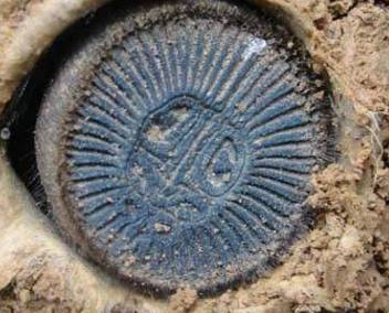 男子迁坟时，挖掘到一枚古钱币，看清真面目后令其后背发凉