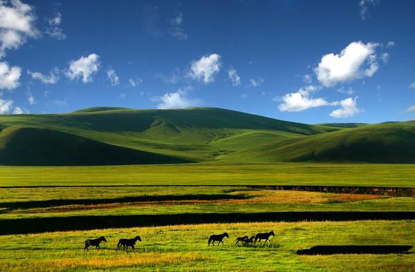 内蒙古四大最受欢迎的景点，呼伦贝尔草原仅排末尾，谁是第一？