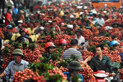 越南的物价和中国的物价有何区别？当地人：你可能想象不到！