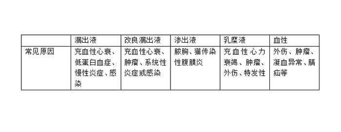 辟谣：猫咪胸腔里有积液，就一定是传腹？铲屎官别一概而论