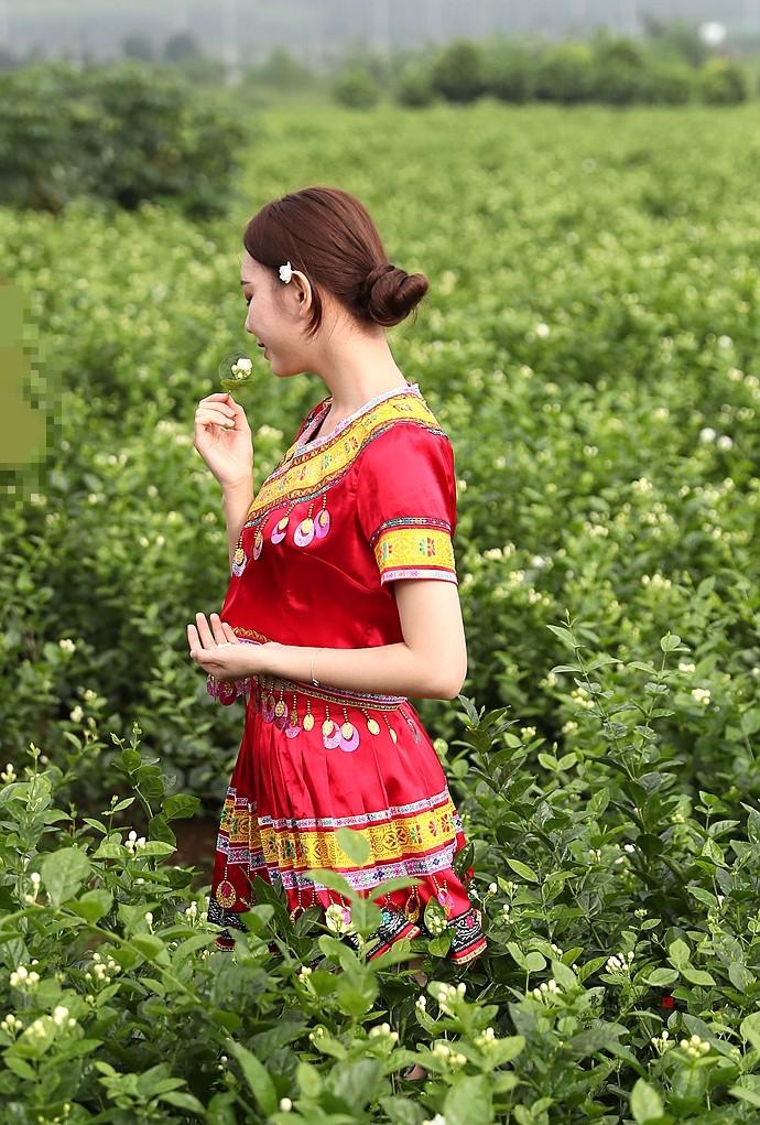 实拍：徜徉在茉莉花海里的小美女