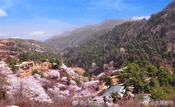 太原新增8个国家3A级旅游景区！桃花沟、偏桥沟、玉泉山……你去过吗