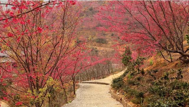 韶关有这么多好玩的地方？韶关最美的旅游景点
