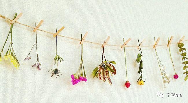 常用干花制作的四种方法！吊挂风干法、干燥剂和甘油干燥法等