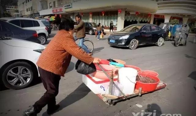 行走大亚湾澳头渔人码头，带你逛热闹的海味街、捞扎扎跳的海鲜！