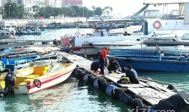 行走大亚湾澳头渔人码头，带你逛热闹的海味街、捞扎扎跳的海鲜！