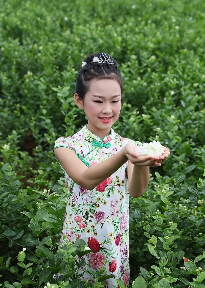 实拍：徜徉在茉莉花海里的小美女