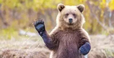 2017年，外国人都这么取英文名！（附2017最火英文名）