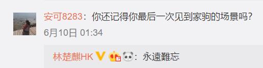 她家世显赫，是黄家驹“未亡人”，至今仍活在25年前的爱情幻梦里