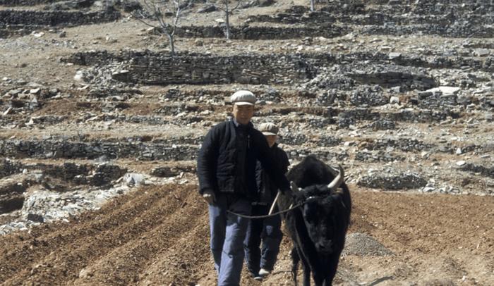 美国人镜头下: 上世纪七十年代的中国农村