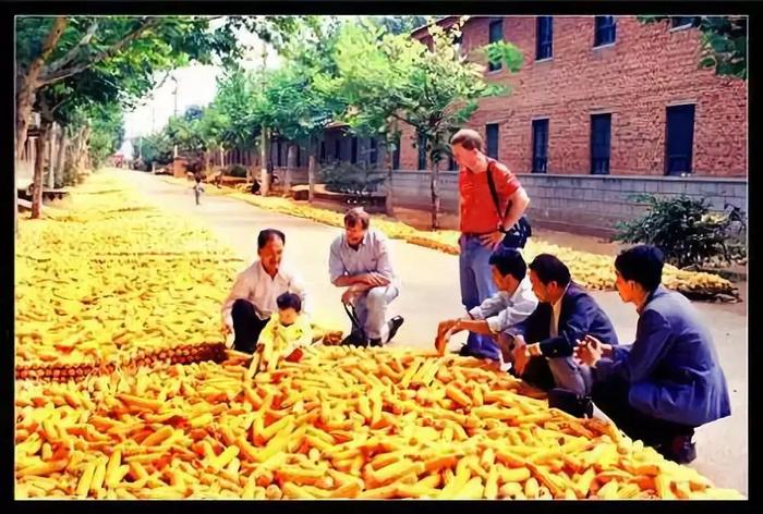 安丘凌河镇石家庄村70年代的老照片！满满的都是回忆~