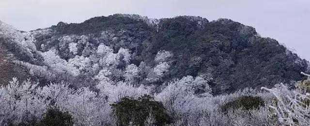 广西海拔最高风景最美的十大山峰，你都爬过了吗