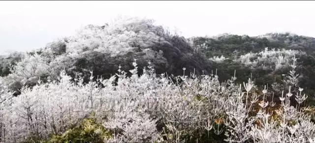 广西海拔最高风景最美的十大山峰，你都爬过了吗