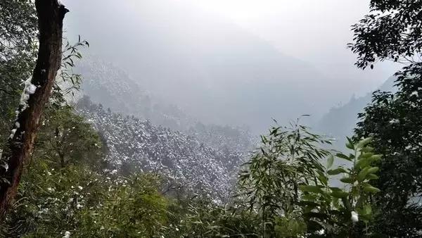 广西海拔最高风景最美的十大山峰，你都爬过了吗