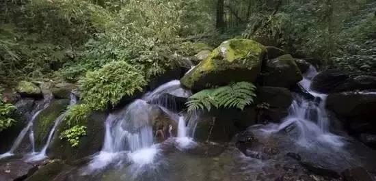 广西海拔最高风景最美的十大山峰，你都爬过了吗