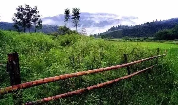 广西海拔最高风景最美的十大山峰，你都爬过了吗