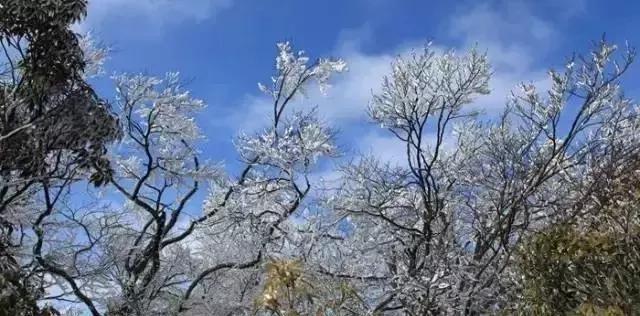 广西海拔最高风景最美的十大山峰，你都爬过了吗