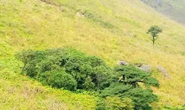 广西海拔最高风景最美的十大山峰，你都爬过了吗