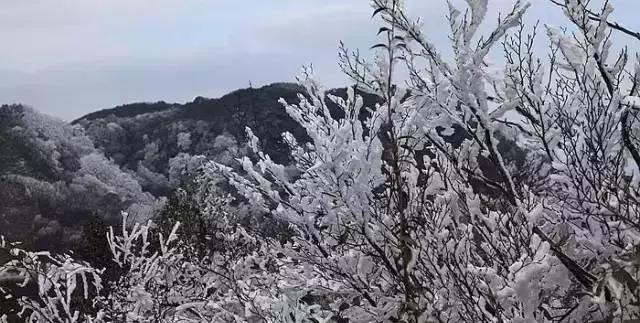 广西海拔最高风景最美的十大山峰，你都爬过了吗