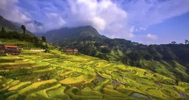 广西海拔最高风景最美的十大山峰，你都爬过了吗