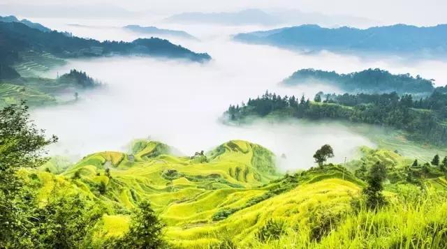 广西海拔最高风景最美的十大山峰，你都爬过了吗