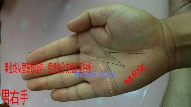 玉掌流手相大全 玉掌流手相大全 - メルカリ