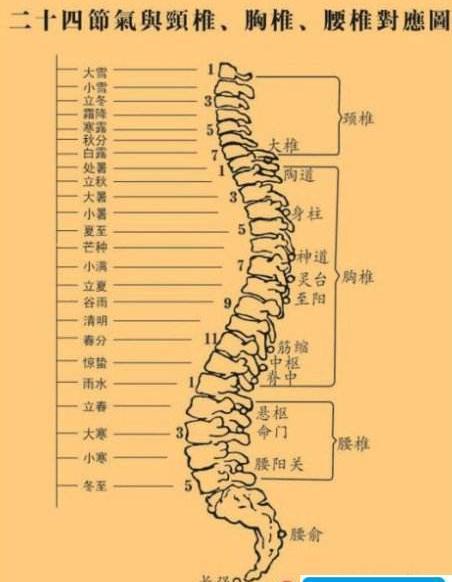 二十四节气和人体的对应关系