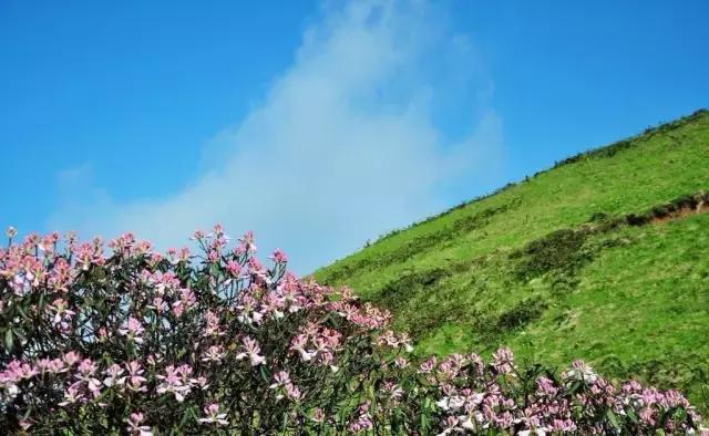 广西海拔最高风景最美的十大山峰，你都爬过了吗